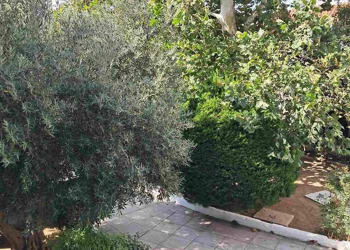 Dimitrias Apartamento *